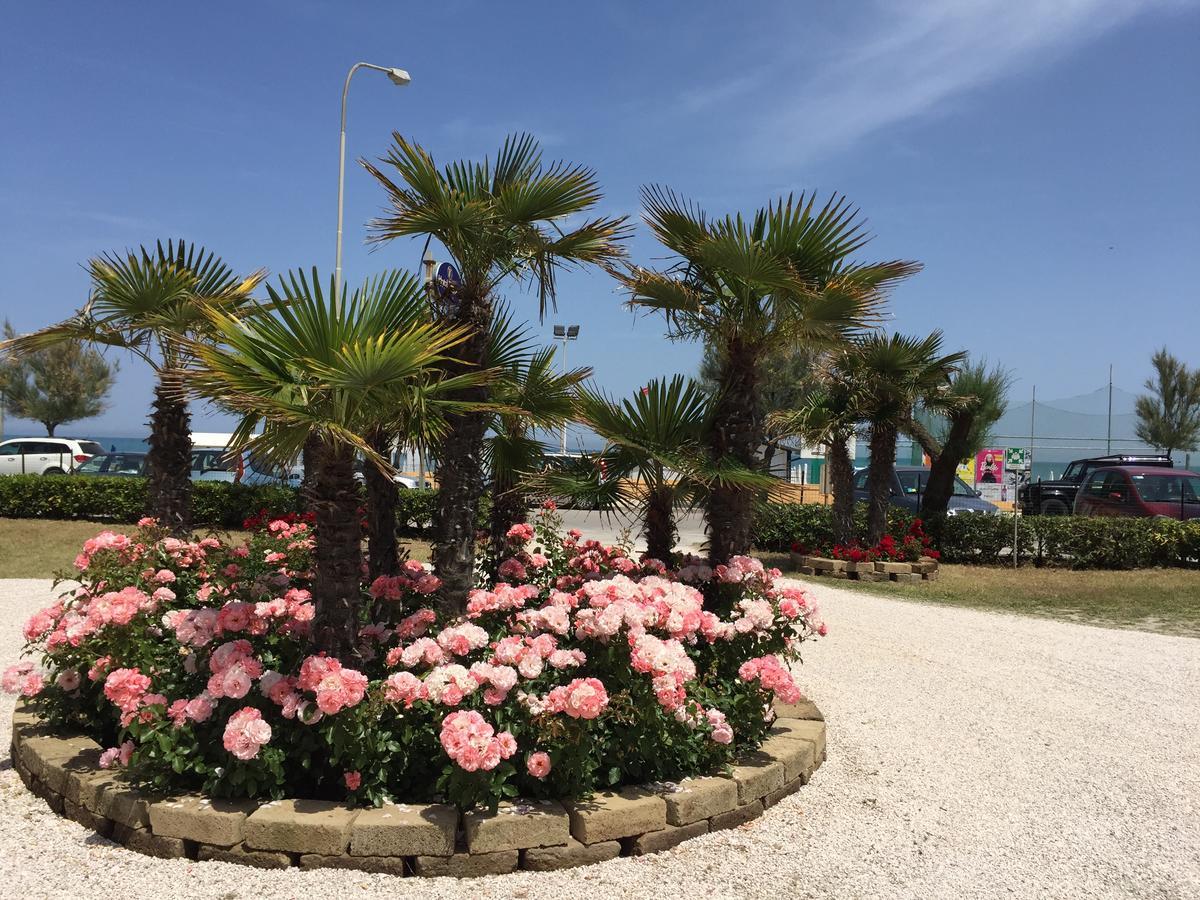 Hotel Tritone Senigallia Dış mekan fotoğraf